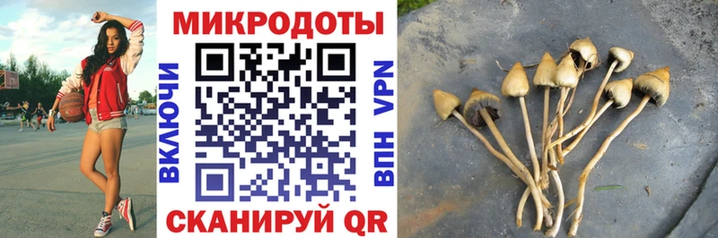 Псилоцибиновые грибы Psilocybe  продажа наркотиков  Правдинск 